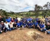Café com Viola lota Estação de Guedes na primeira edição do ano